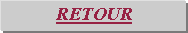 Zone de Texte: RETOUR 
